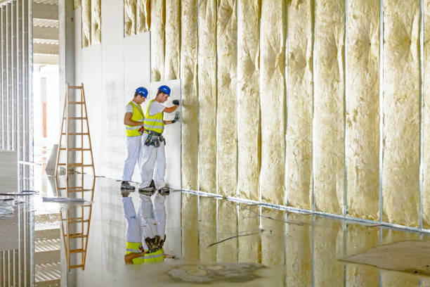 Best Insulation Materials and Products in West Siloam Springs, OK